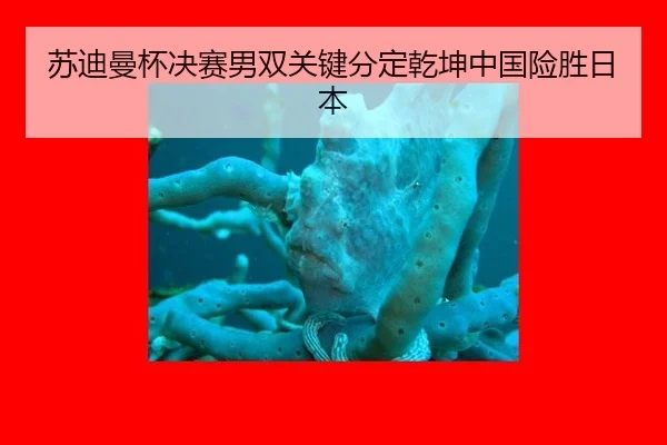 su-di-man-bei-jue-sai-nan-shuang-guan-jian-fen-ding-qian-kun-zhong-guo-xian-sheng-ri-ben-2-940.jpg